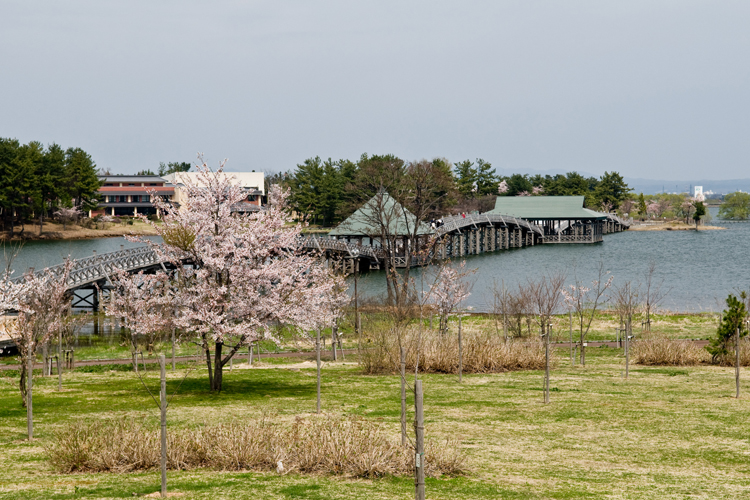 津軽富士見湖桜まつり