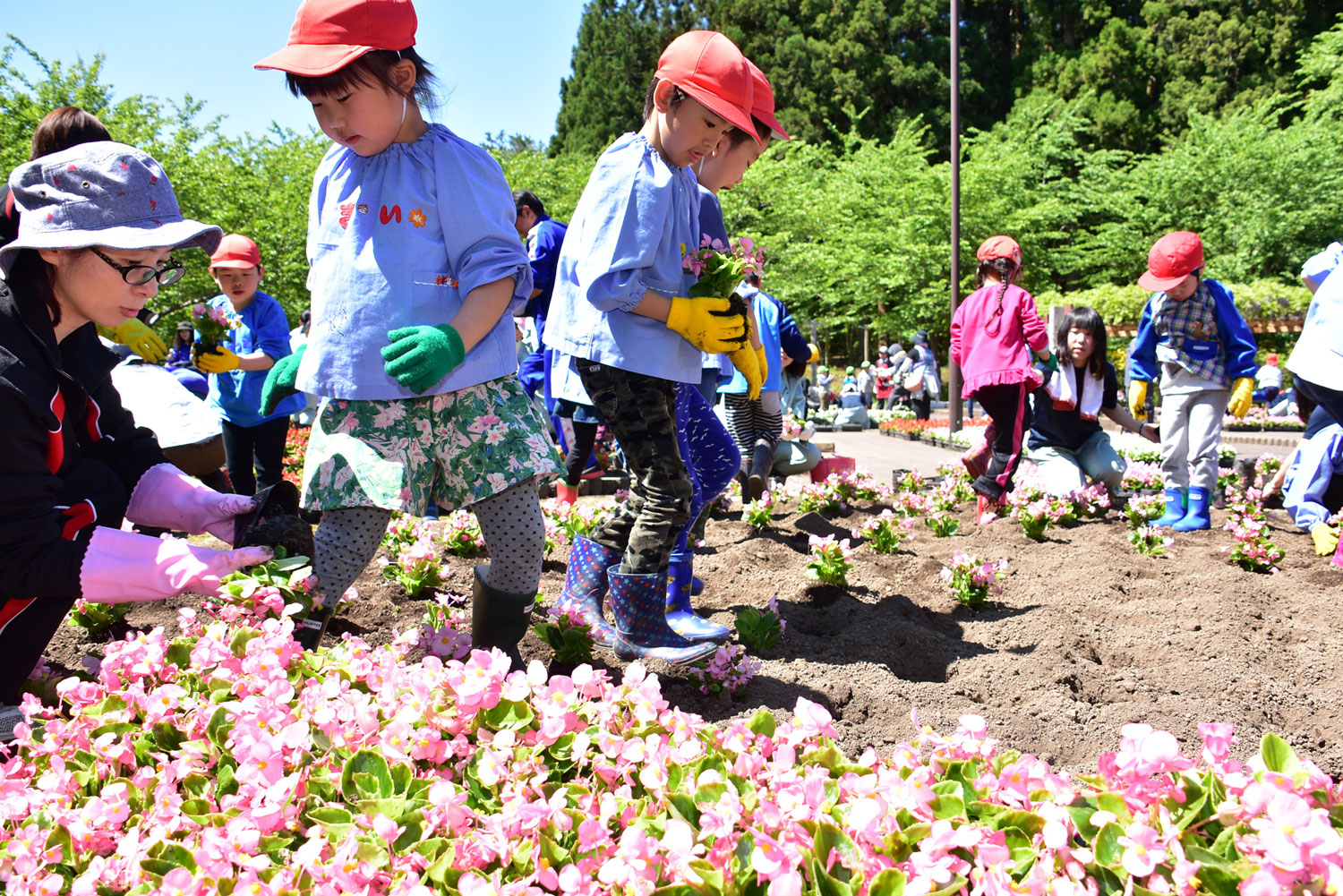 富士見湖パークで花の植栽
