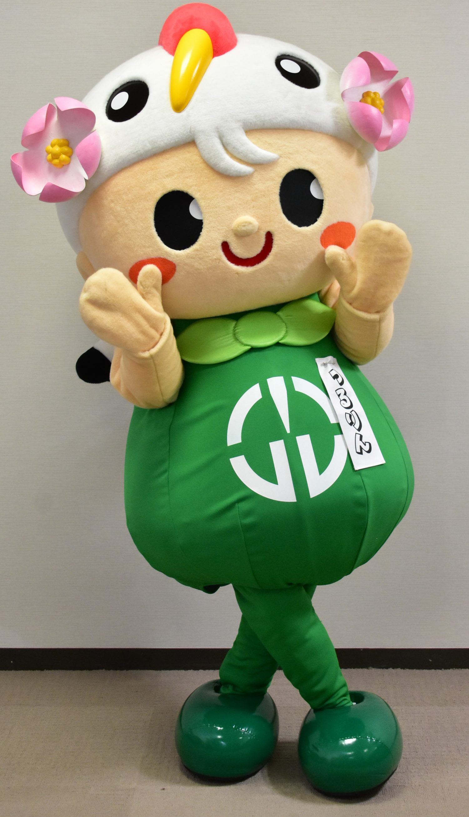 ゆるキャラグランプリ18 つるりん の最終結果 メデタイ ツルタ