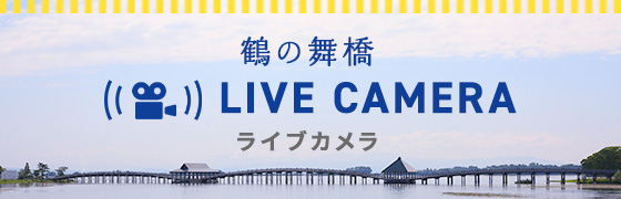 鶴の舞橋 ライブカメラ